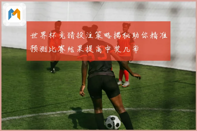 世界杯竞猜投注策略揭秘助你精准预测比赛结果提高中奖几率