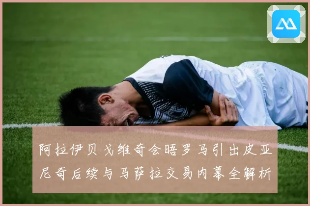 阿拉伊贝戈维奇会晤罗马引出皮亚尼奇后续与马萨拉交易内幕全解析