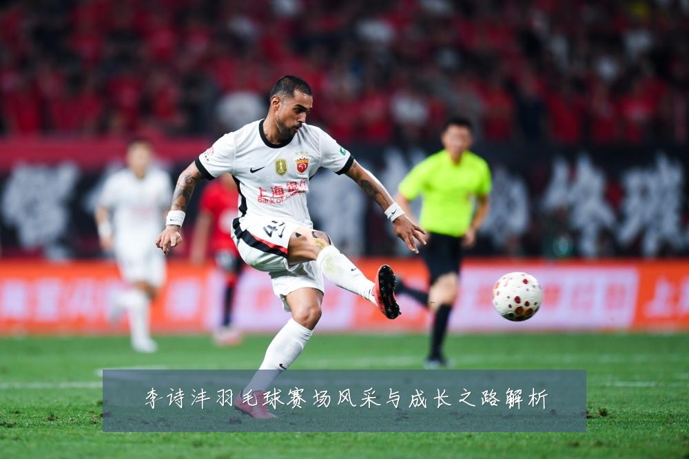 李诗沣羽毛球赛场风采与成长之路解析
